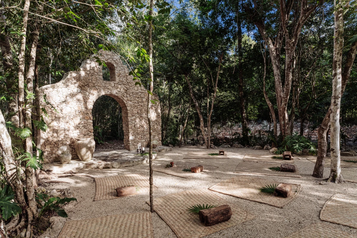 Jungle canopy over an open-air space