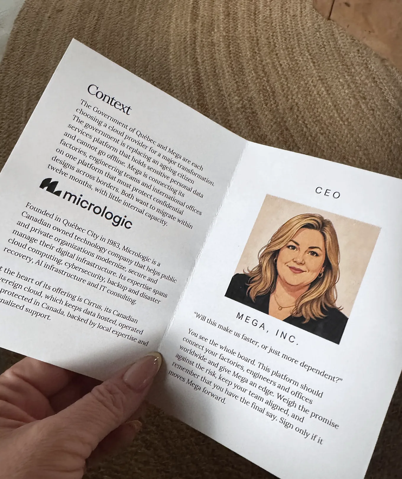 Workshop booklet showing the fictional CEO role at Mega, Inc.